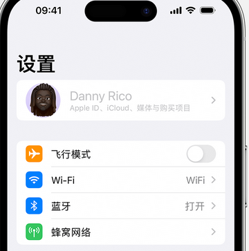 缙云appleID维修服务iPhone设置中Apple ID显示为灰色无法使用 