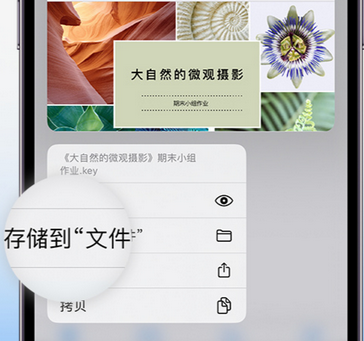 缙云apple维修中心分享iPhone文件应用中存储和找到下载文件