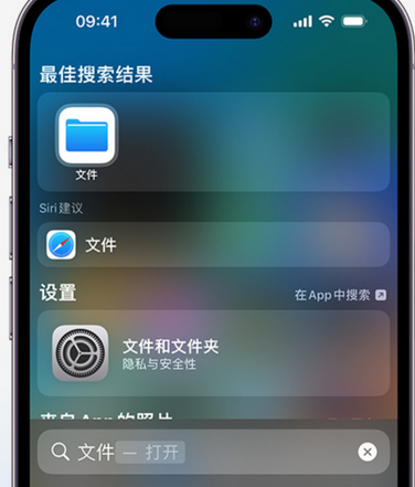 缙云apple维修中心分享iPhone文件应用中存储和找到下载文件