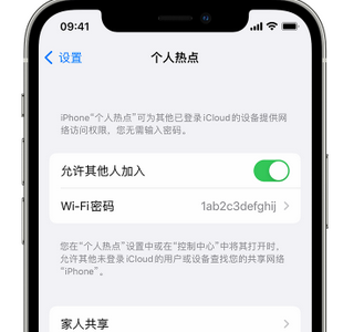 缙云apple服务站点分享iPhone上个人热点丢失了怎么办