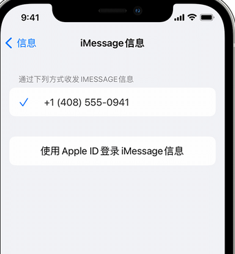 缙云apple维修iPhone上无法正常发送iMessage信息 