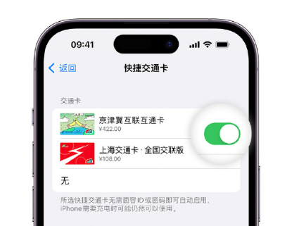 缙云apple维修点分享iPhone上更换Apple Pay快捷交通卡手绘卡面 