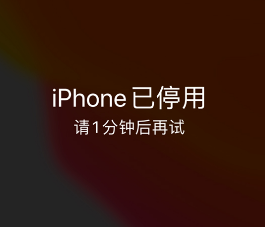 缙云苹果手机维修分享:iPhone 显示“不可用”或“已停用”怎么办？还能保留数据吗？ 