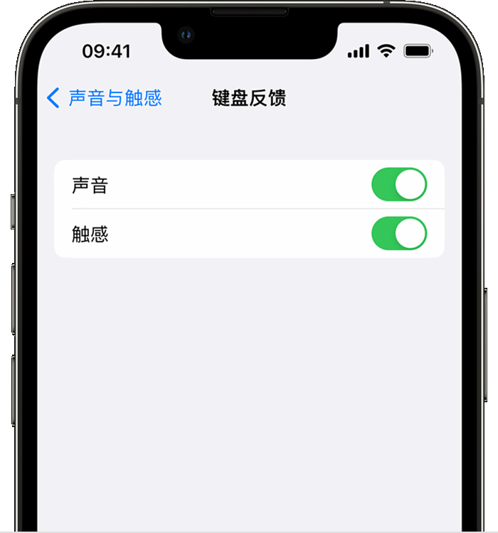 缙云苹果14维修店分享如何在 iPhone 14 机型中使用触感键盘 