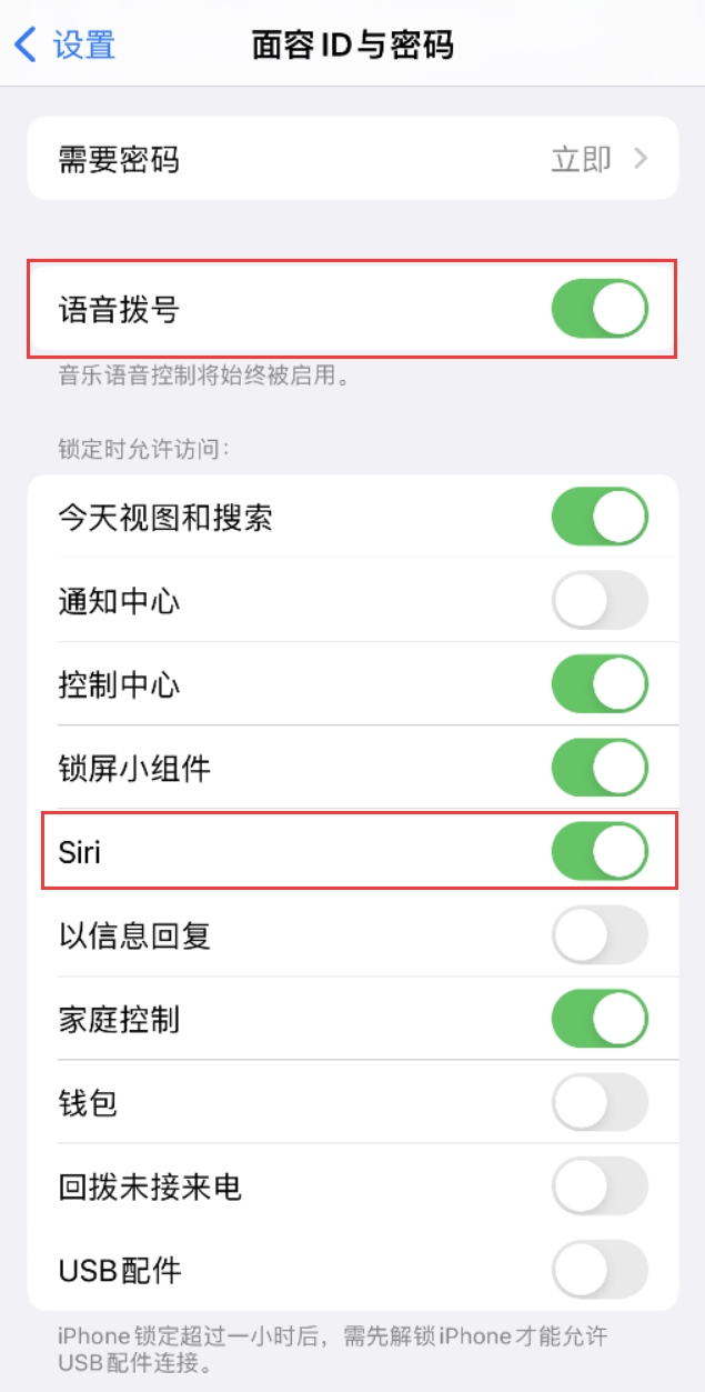 缙云苹果维修网点分享不解锁 iPhone 的情况下通过 Siri 拨打电话的方法 