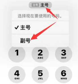 缙云苹果14维修店分享iPhone 14 Pro Max使用副卡打电话的方法 