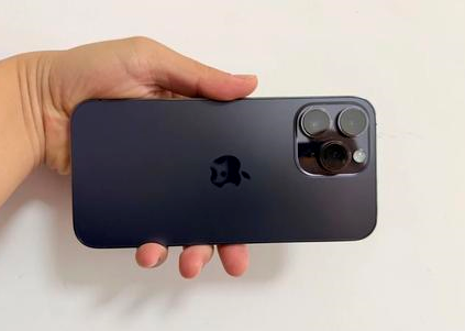 缙云苹果维修点分享iPhone 14 Pro Max黑屏少见故障盘点 